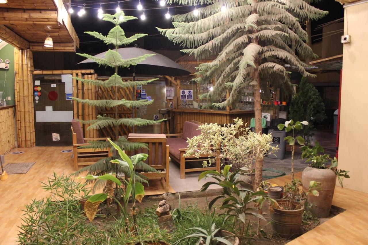 Хостел La Casa De Bamboo Ика Экстерьер фото