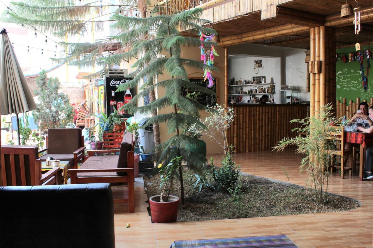 Хостел La Casa De Bamboo Ика Экстерьер фото